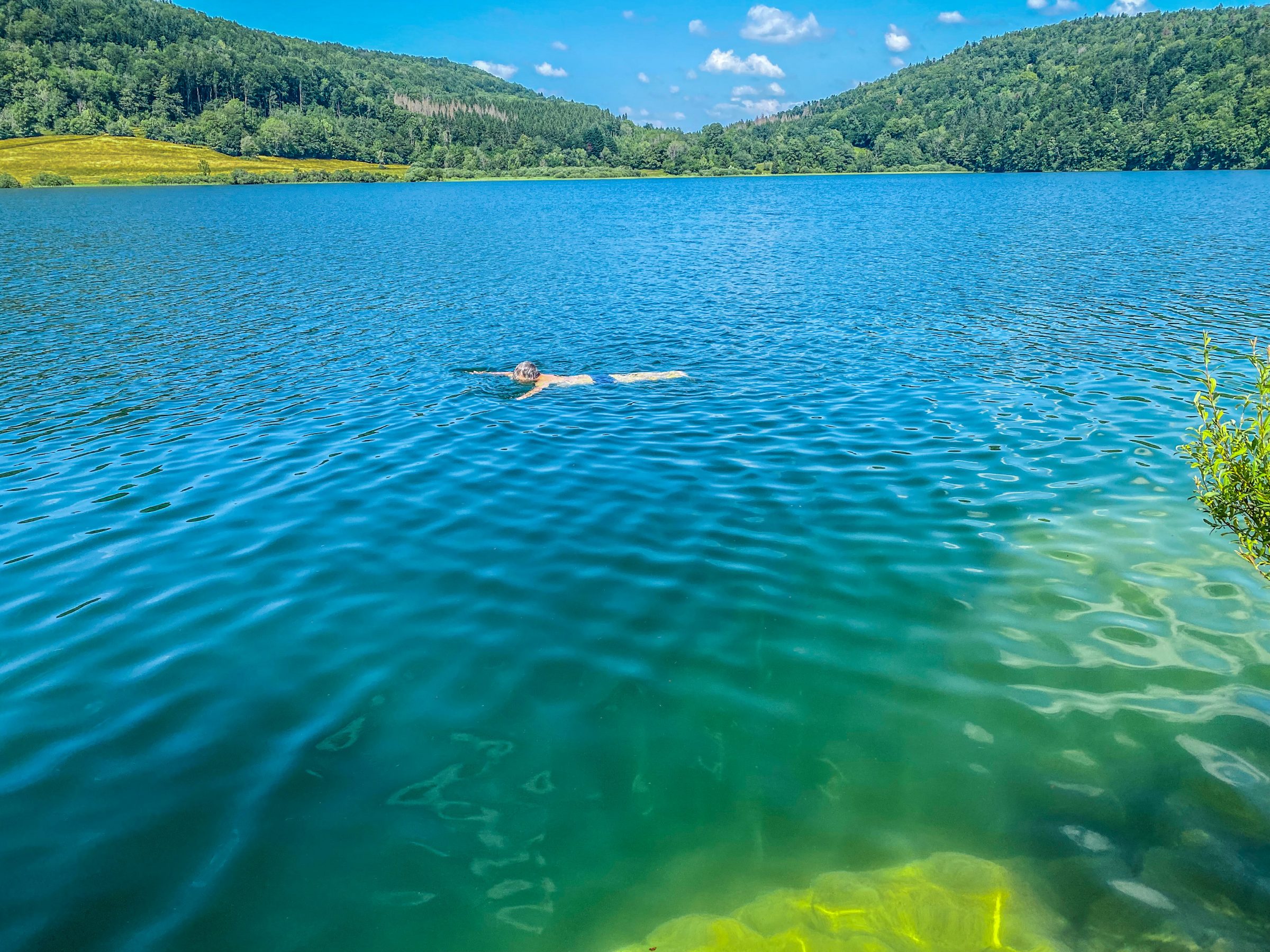 One unrecognizable person swim in the Narlay lake, Le Frasnois, Bourgogne-Franche-Comté, Jura