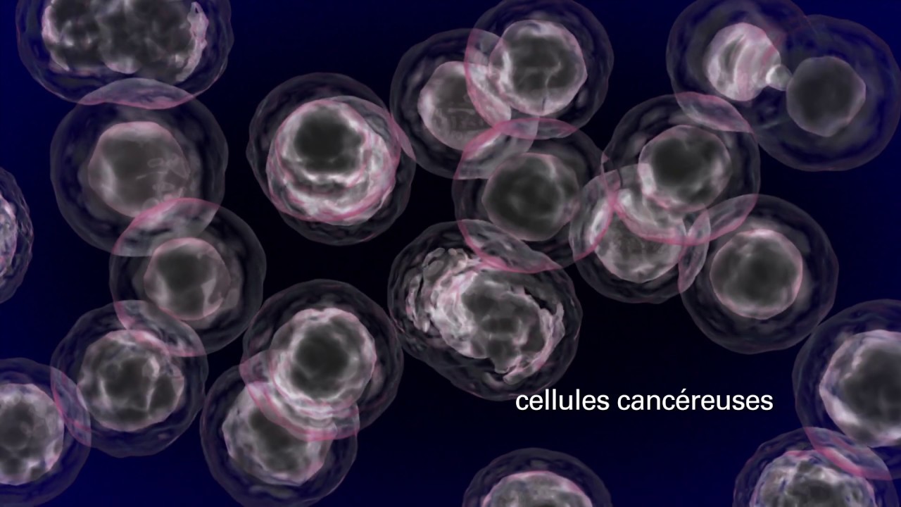 franche comté : mobilisation régionale pour octobre rose 2025 contre le cancer du sein